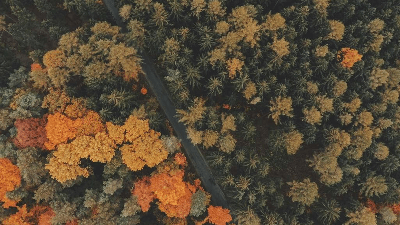 Camera - professional stock photography